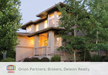 Orion Partners